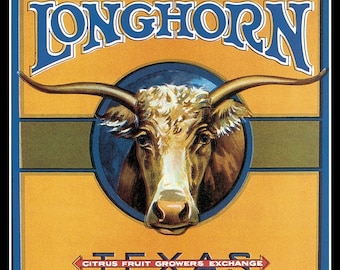 Texas Longhorn  Large Refrigerator Magnet  Free US Shipping