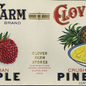 11 Vintage Fruit Cannery Labels image 3