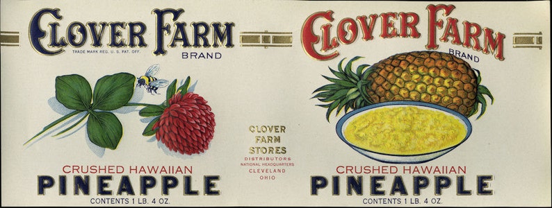 11 Vintage Fruit Cannery Labels image 3