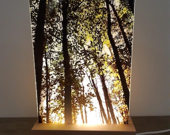 LED DESK LAMP: woodland print, nature lover gift.