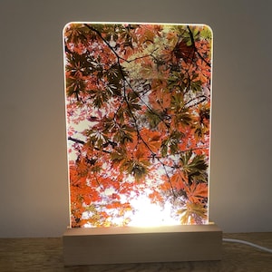May include: A rectangular LED lamp with an image of autumn leaves in red, orange, and green. The lamp has a wooden base and emits a warm glow. The image shows a view looking up through the leaves. The lamp is a decorative item.