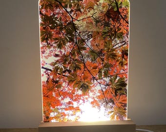 Maple Leaf LED Table Lamp: Autumn Canopy Design