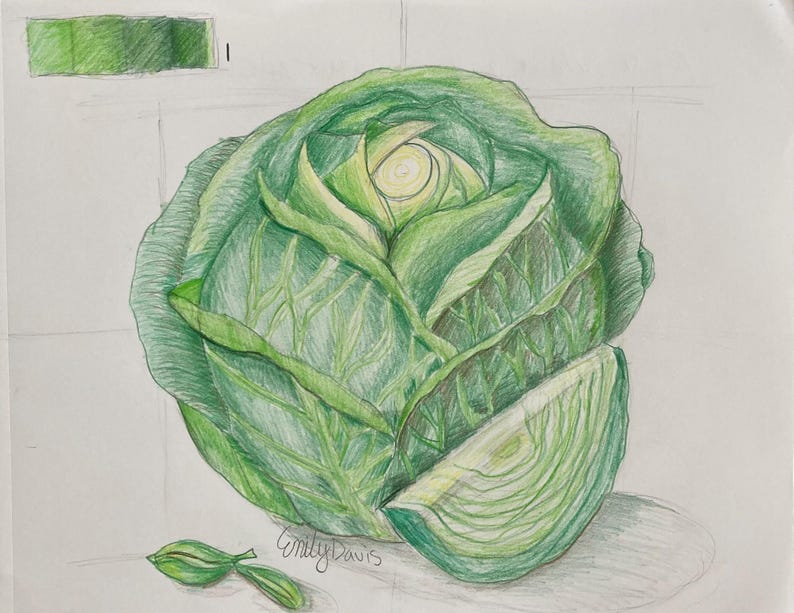 Original Cabbage Drawing, Vegetable Drawing, Cabbage Painting, Veggie ...