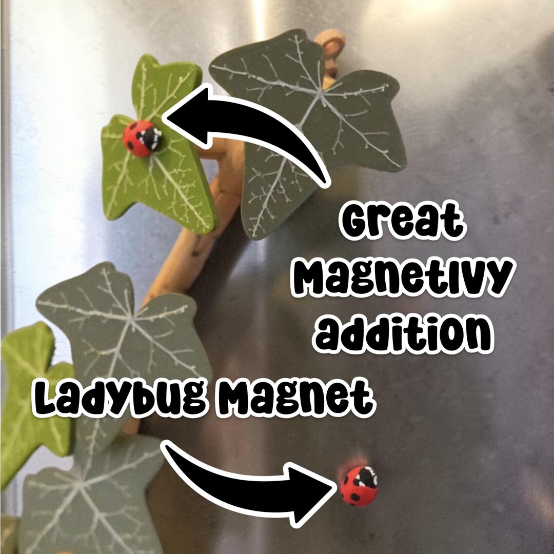 Ladybug Refrigerator Magnets | Cute Lady Bug Magnet Set | Insect Magnet ...