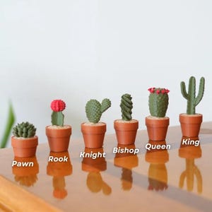 K&ouml;nnte beinhalten: Sechs Miniatur-Kakteen in Terrakotta-T&ouml;pfen. Jeder Kaktus hat eine einzigartige Form und Farbe, mit Etiketten mit der Aufschrift "Pawn", "Rook", "Knight", "Bishop", "Queen" und "King". Die Pflanzen stehen auf einer reflektierenden Holzoberfl&auml;che.