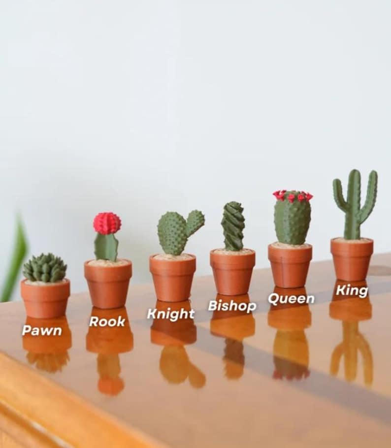 K&ouml;nnte beinhalten: Sechs Miniatur-Kakteen in Terrakotta-T&ouml;pfen. Jeder Kaktus hat eine einzigartige Form und Farbe, mit Etiketten mit der Aufschrift "Pawn", "Rook", "Knight", "Bishop", "Queen" und "King". Die Pflanzen stehen auf einer reflektierenden Holzoberfl&auml;che.