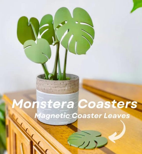 monstera gifts Monstera Plant & Pot Gift Bundle – A Perfect Gift for Plant Lovers –  Plantology USA main image 0