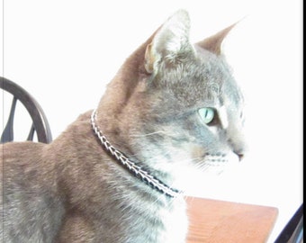cat collar gold chain