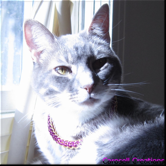 cat collar gold chain