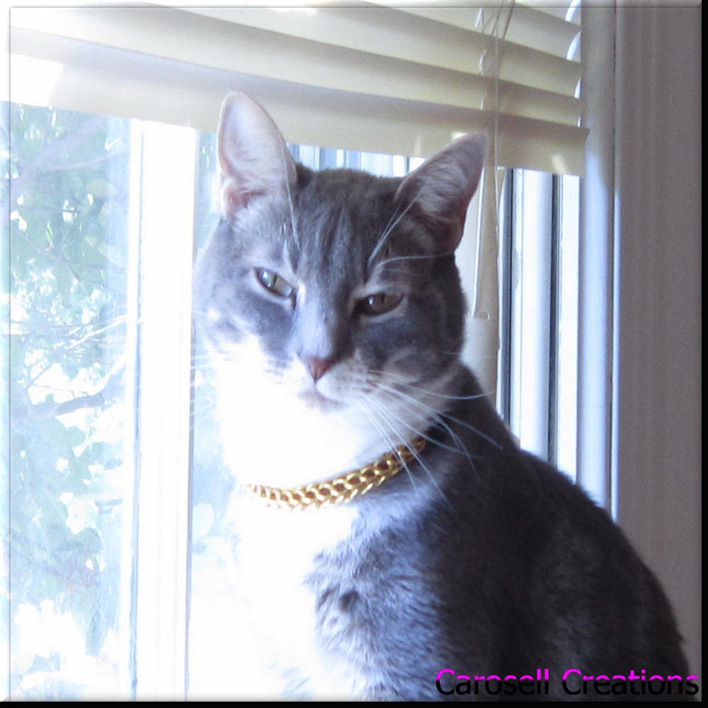 cat chain collar