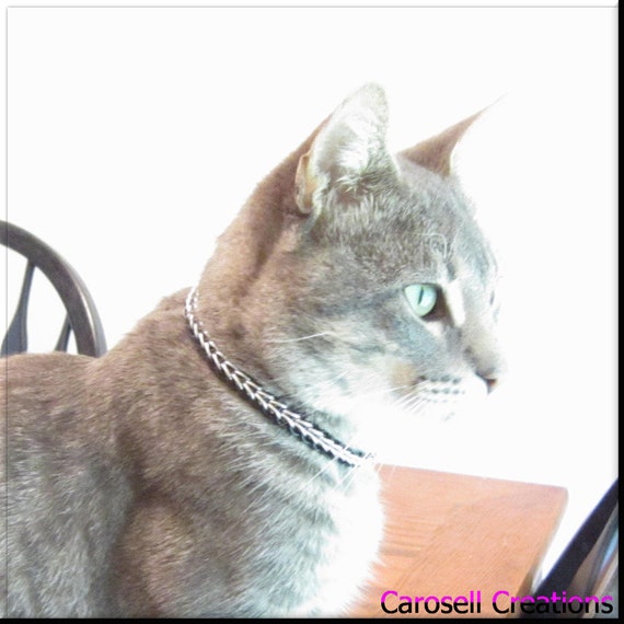 Silver chain cat collar Clearance