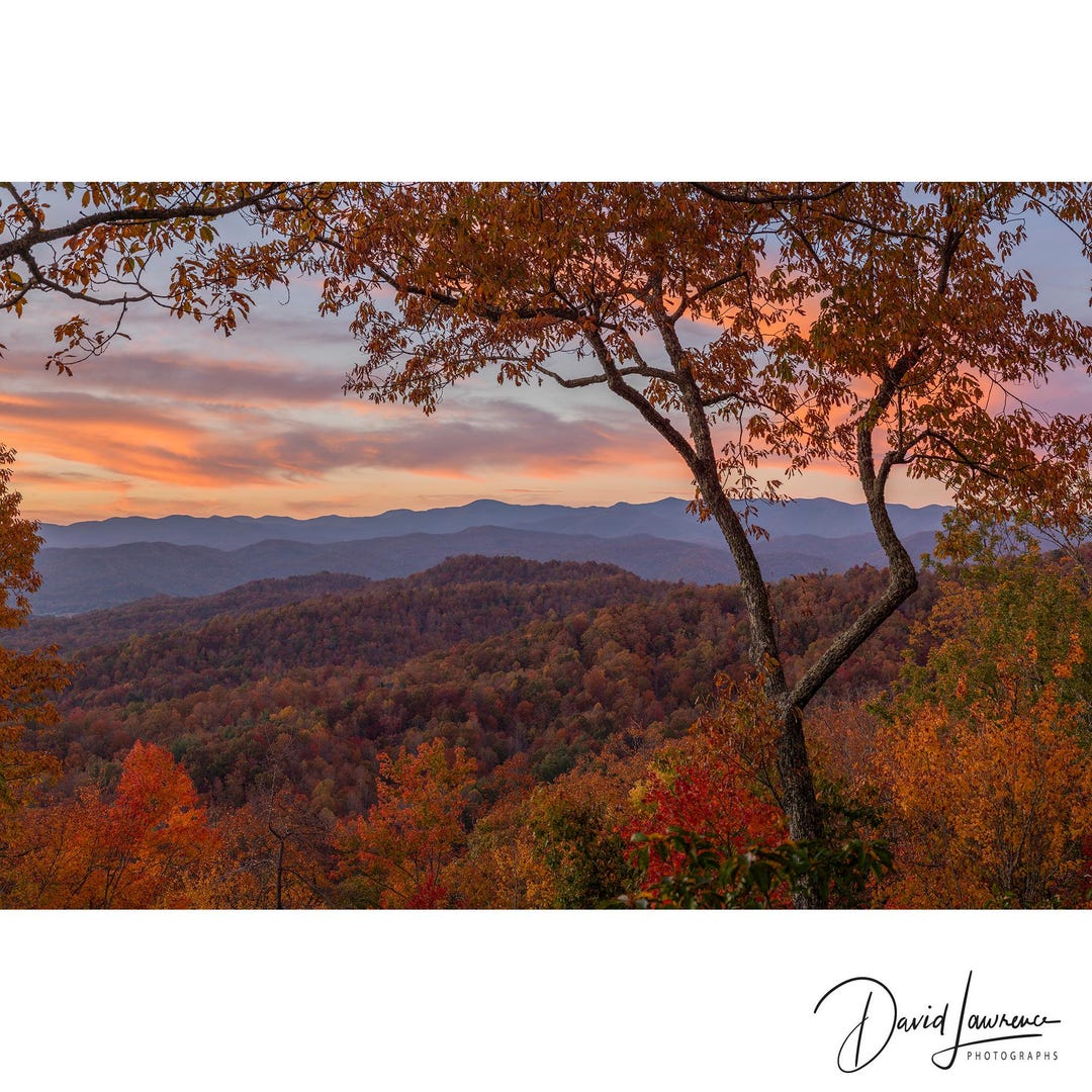 Blue Ridge Mountains Sunset With Orange Trees Autumn Landscape Wall Art ...