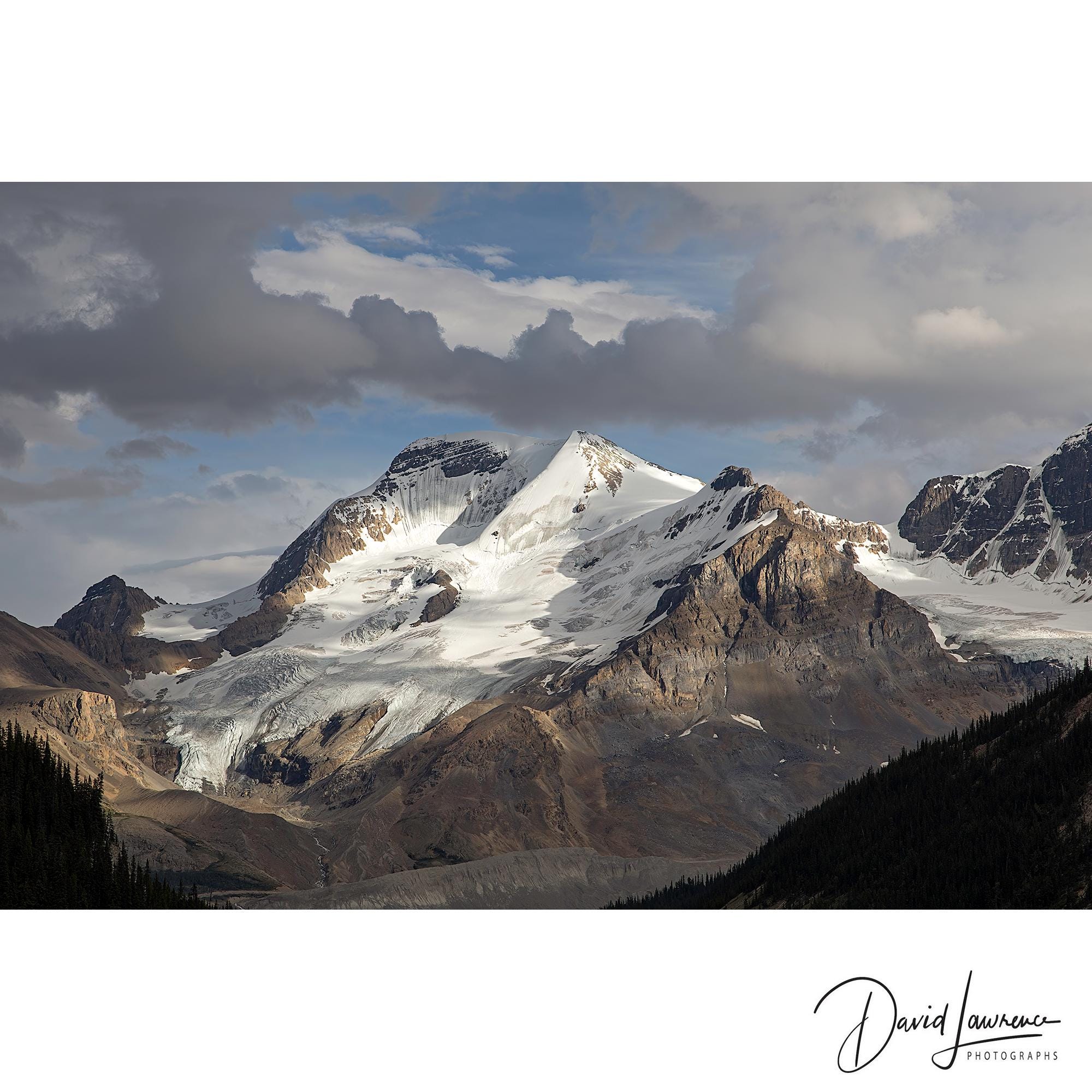 Alpine fern Österreich
