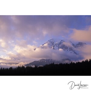 May include: A scenic landscape photograph of a snow-capped mountain partially obscured by soft, pastel-colored clouds. A dark silhouette of a forest frames the base of the mountain. The image is signed "David Lawrence PHOTOGRAPHS".