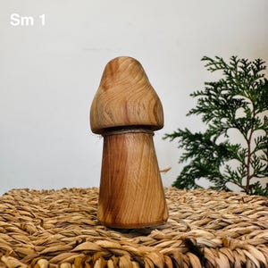 Wooden Mushroom