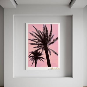 Cotton Candy Palm Trees