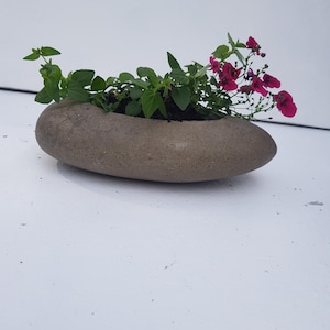 May include: A grey stone planter with a rounded shape, filled with green plants and pink flowers.