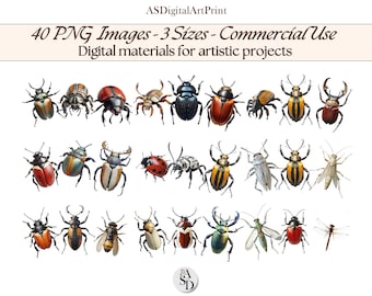 Realistic Insects & Beetles Clipart: 40 PNG Designs (Digital Download)