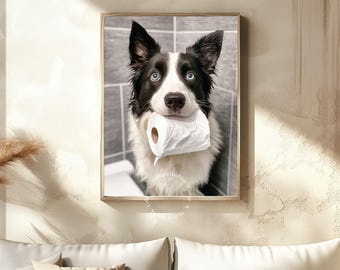Peut inclure: Un chien border collie noir et blanc aux yeux bleus tient un rouleau de papier toilette blanc dans sa gueule. Le chien regarde directement la caméra. Le chien est dans une salle de bain.