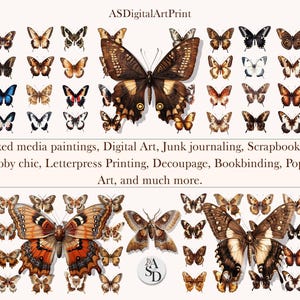 Clipart PNG di falene vintage, illustrazioni di insetti boho, effimeri da diario spazzatura, ritagli di album, grafiche di collage naturalistici, file trasparenti.