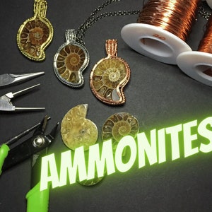 May include: A close-up of a craft project featuring ammonite fossils, wire, and jewelry-making tools. The ammonites are being used to create pendants. The tools include wire cutters, pliers, and spools of wire.