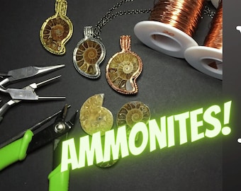 PDF TUTORIAL, Woven Wire sloped back Ammonite setting Tutorial , step by step instructions, digital download, Wire & Wiki ep.4