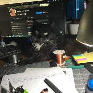 PDF チュートリアル、レインボー スネーク、コイル ベゼル チュートリアル、ステップ バイ ステップの説明、デジタル ダウンロード、Wire & Wiki ep.3 画像 10