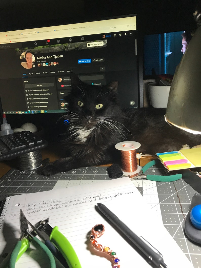 PDF チュートリアル、レインボー スネーク、コイル ベゼル チュートリアル、ステップ バイ ステップの説明、デジタル ダウンロード、Wire & Wiki ep.3 画像 10