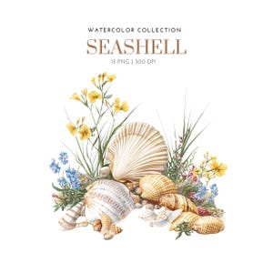 Sea Shells watercolor Clipart,Seashell Clipart, seashell tropical png, seashell clipart png, seashell floral, Paper craft, sea shell clipart