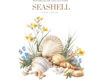 Zeeschelpen aquarel clipart, schelp clipart, schelp tropische png, schelp clipart png, schelp bloemen, paper craft, schelp clipart
