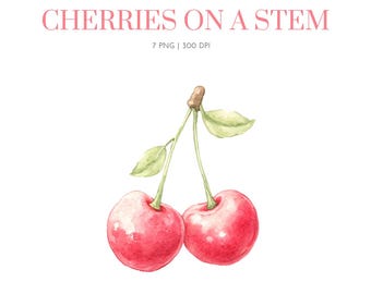 Watercolor Cherry Clipart, Cherry Clipart Png, Fruit PNG, Red Cherries, cheery on stem, Cherry clipart, cherry clipart, Red Cherry clipart