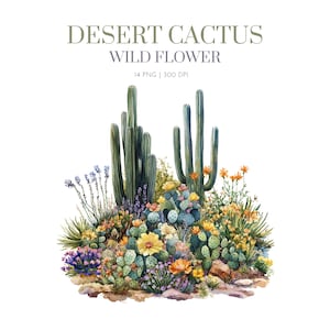 Clipart aquarelle cactus du désert, graphismes Western de cactus, fleur Western, clipart Far west. Fleur de cactus du désert, fleur sauvage de cactus png