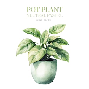 May include: Watercolor illustration of a potted plant with large, light green leaves. The plant is in a light green, rounded pot. Text at the top reads "POT PLANT NEUTRAL PASTEL" and "14 PNG | 300 DPI".
