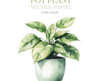 Watercolor House Pot Plants Clipart, Watercolor Gardening House Clipart, Pot Plant clipart, Philadendrum, Dangling Vines, Fern, Snake Plant