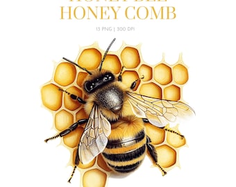 Honey Bee Watercolor , Honey Bees Clipart, Honey  Comb Clipart, Beehive, Bee clipart,Honey comb png images, Honey bee design clipart, Bee
