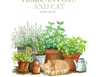 Watercolor Herbs in Pot with cat, Watercolor gardening clipart ,plants png ,herbs clipart, rustic farmhouse clipart, potted plants and herbs