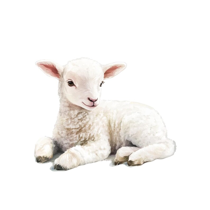 May include: A digital illustration of a fluffy white lamb lying down. The lamb has a soft, textured coat, pink ears, and brown eyes. The lamb is resting on a white background.