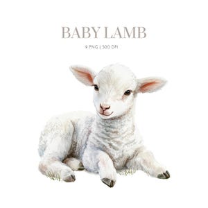 Baby Lamb Watercolor Clipart, high quality png, cute farm animals, baby animals, lamb, baby lamb png, watercolor lamb, lamb clipart png