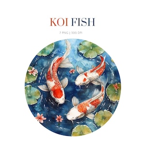 Watercolor Koi Fish clipart, Koi Fish images png , koi fish illustration, koi fish, Japanese Koi fish, Koi fish asian fish clipart, Koi Fish