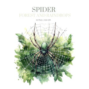 以下が含まれることがあります： 「SPIDER FOREST AND RAINDROPS」のテキストが入った、クモの巣の中のクモの水彩イラスト。クモは緑と茶色で、緑の葉と水滴を背景にしています。画像には「10 PNG | 300 DPI」と表示されています。
