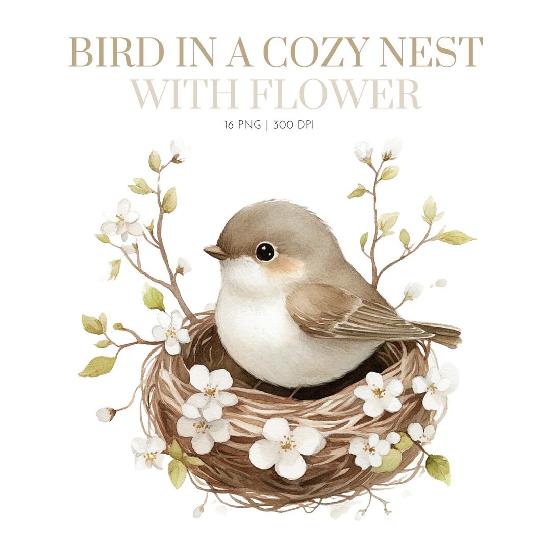 Floral Bird Nests Clipart, Bird in Cozy Nest With Flower, Springtime ...