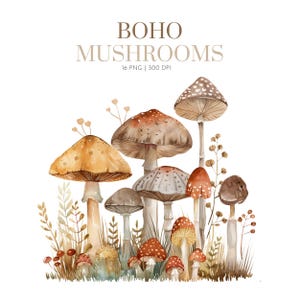 May include: A watercolour illustration featuring a collection of mushrooms in earthy tones of brown, orange, and beige, with the text "BOHO MUSHROOMS" above. The image shows various mushroom types, some with spotted caps.