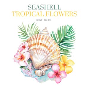Watercolor seashells with tropical flower sea foam clipart, summer clip art, Tropical clipart, Seashell clipart, Tropical seashell clipart