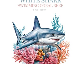 White Shark Clipart PNG, Graphics Shark, White Shark clipart Watercolor Sharks Clipart, Shark Species ,Great White shark coral reef png
