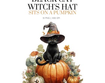 Aquarell schwarze Katze Halloween Cliparts, schwarze Katze mit Kürbis Cliparts, schwarze Katze Halloween Thema, Hexe schwarze Katze Grafik Urlaub