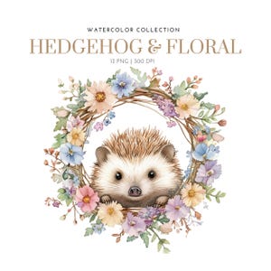 Cute Hedgehog with floral Clipart, Watercolor hedgehog clipart, Hedgehog pet, Hedgehog clipart, Hedgehog with flower, baby Hedgehog clipart