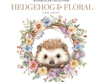 Lindo erizo con flores, erizo en acuarela, mascota erizo, erizo con flores, erizo bebé