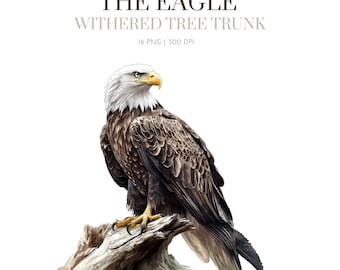 Eagle Clipart, Bald Eagle, Printable Watercolor clipart, Eagle watercolor clipart, Bald eagle clipart, watercolor clipart,bald eagle clipart