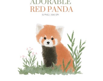 Red Panda Baby Clipart, watercolor red panda clipart, cute red panda pngs,red panda nursery clipart, baby red panda,redpanda clipart for kid