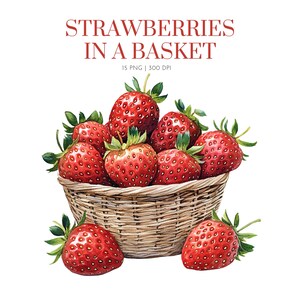 Clipart de aquarela de morango, Clipart de frutas vermelhas PNG, Morango na cesta, Cesta de frutas, Clipart de frutas, Clip Art de berçário, Clipart de morango